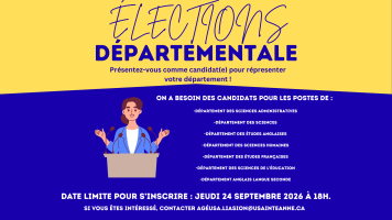 &Eacute;lections d&eacute;partementales 