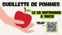 Cueillette de pommes 