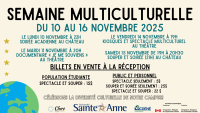 Spectacle multiculturel